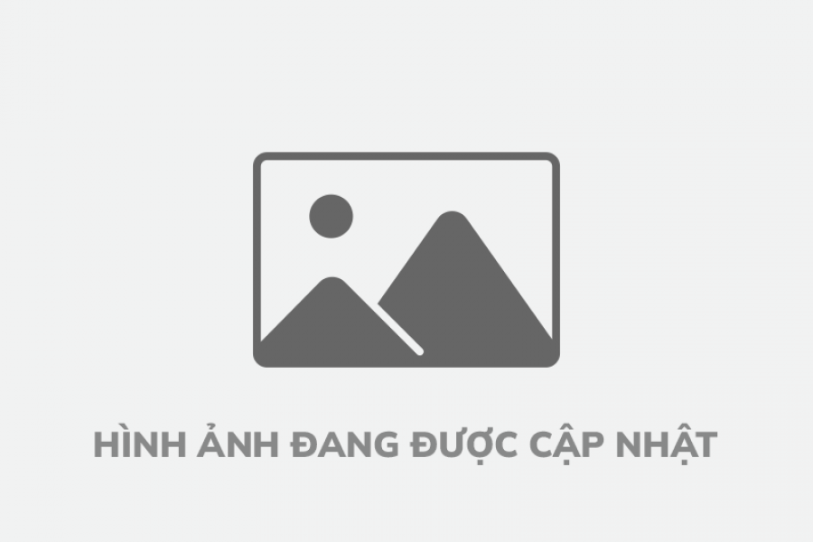 Logo 6